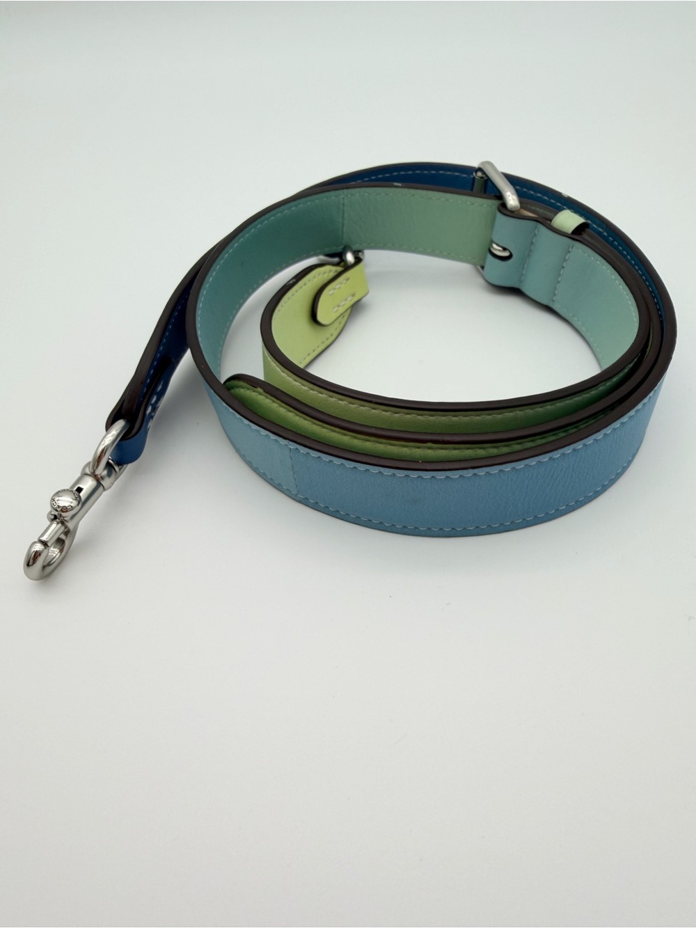 Coach Leather Ombré Bag Strap Dark Blue to Light Green